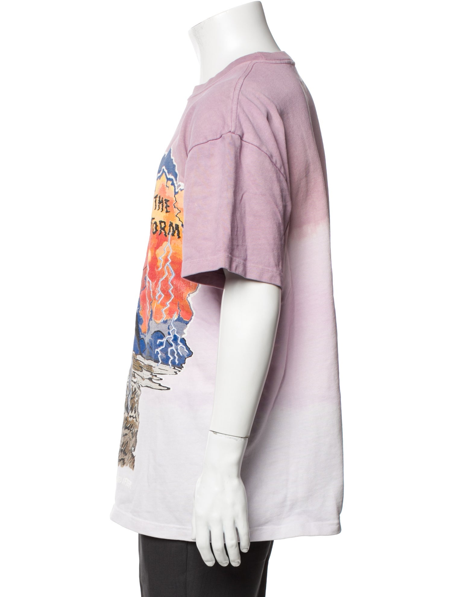 Warren Lotas Graphic Print Crew Neck T-Shirt