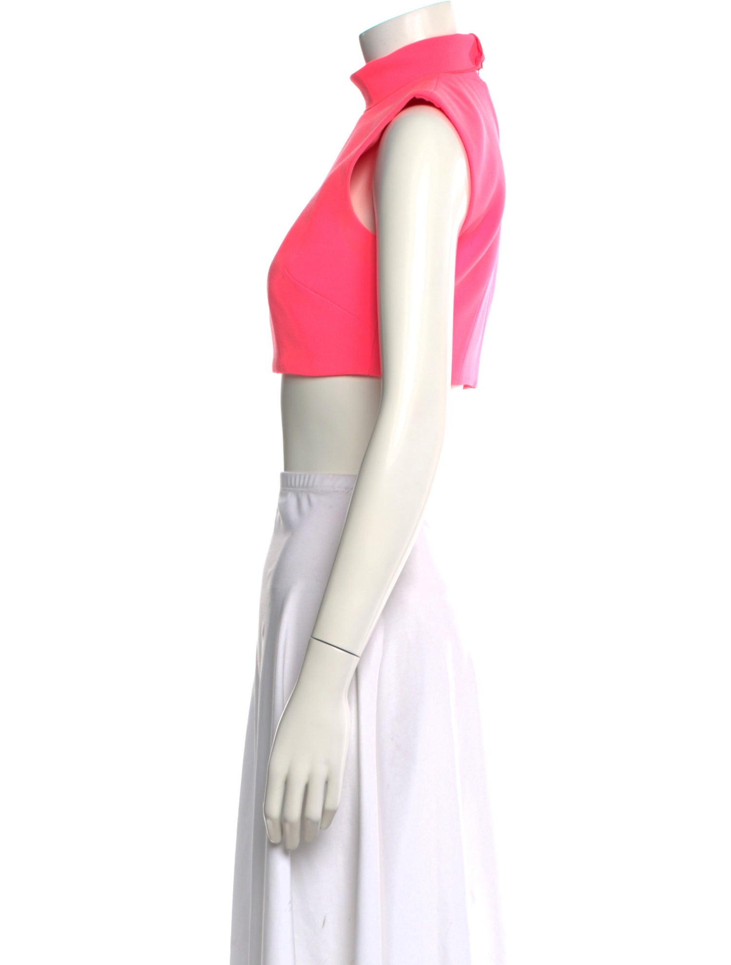 Alex Perry Mock Neck Sleeveless Crop Top
