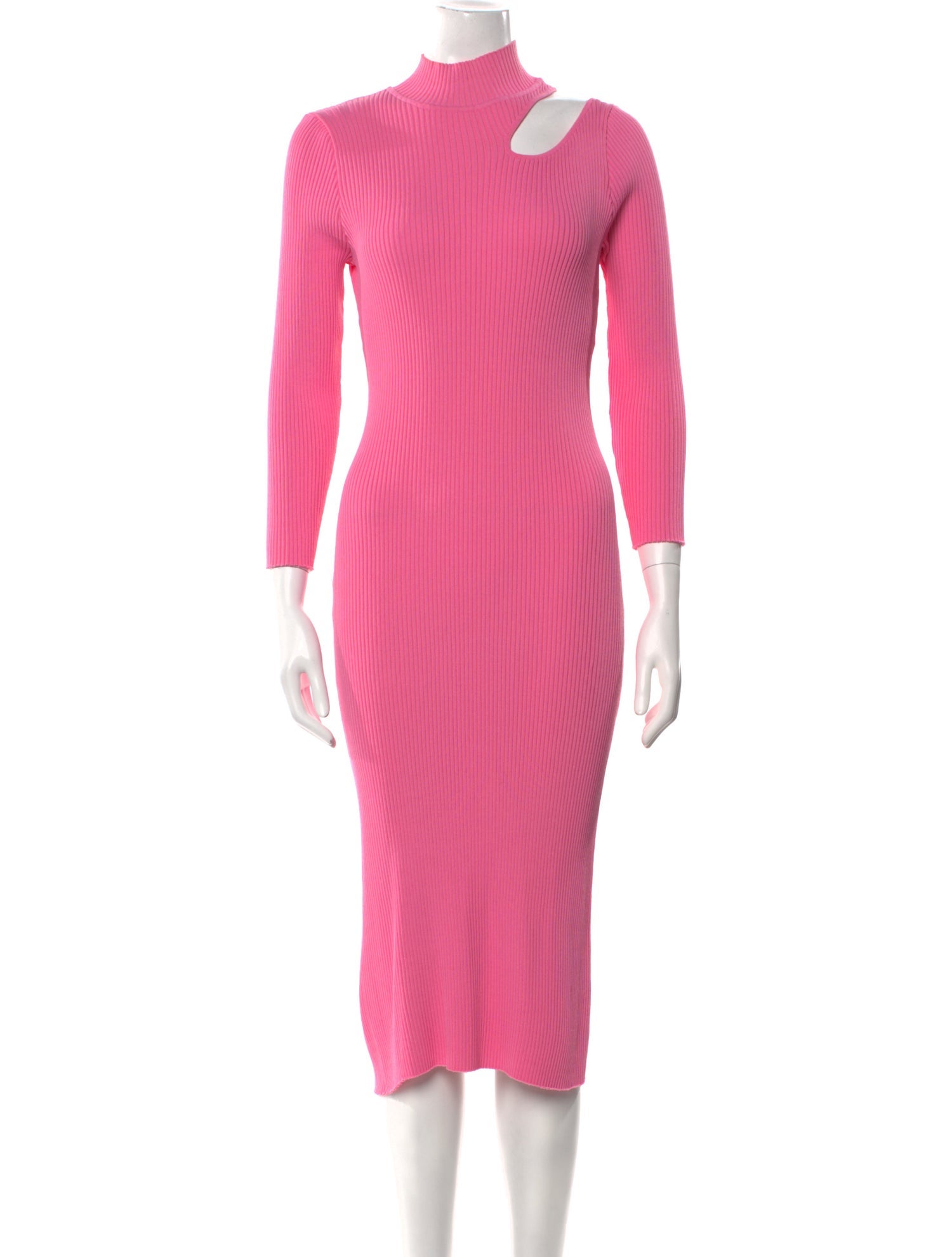Bardot Turtleneck Midi Length Dress