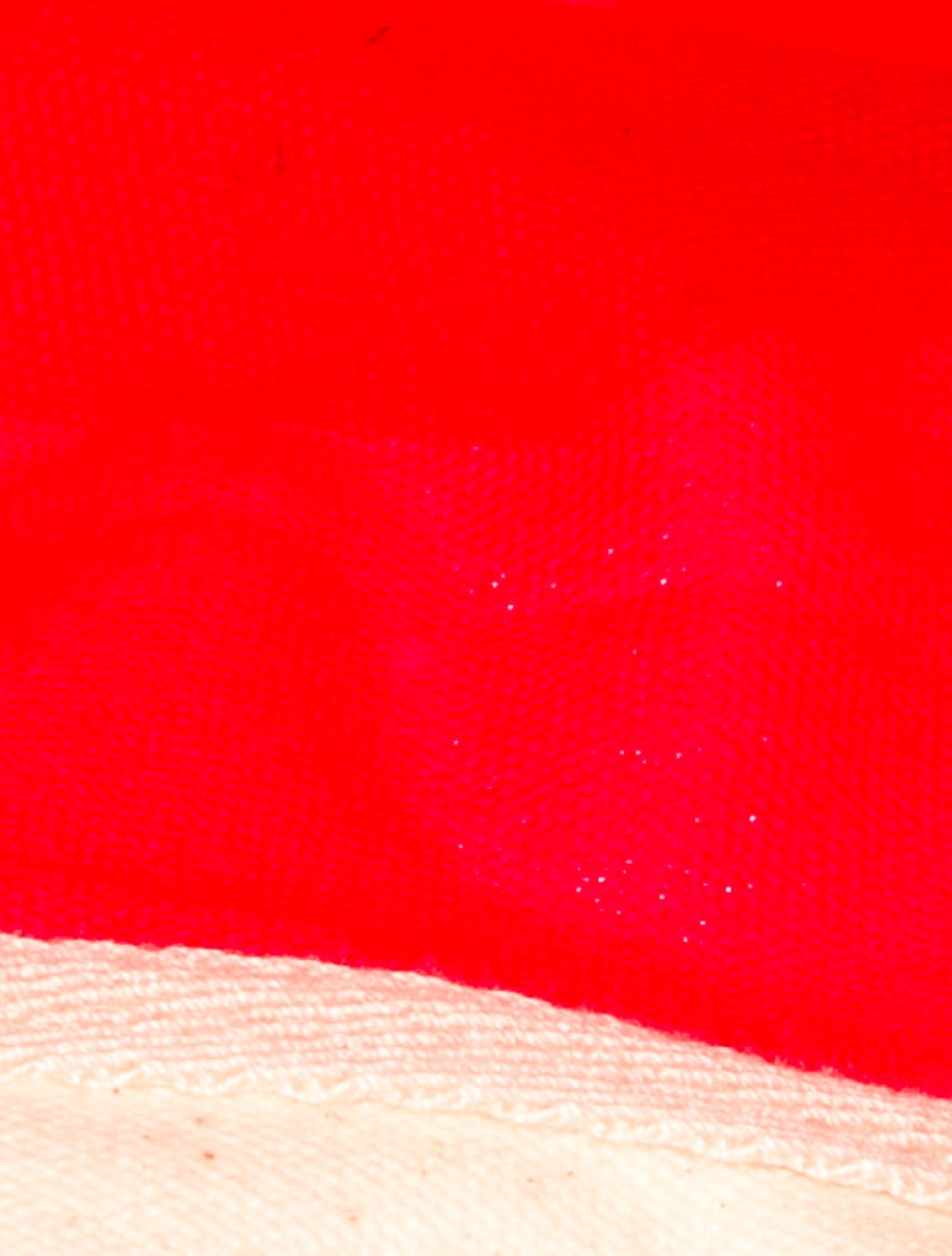 Favorite Daughter Canvas Tote