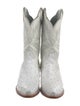 Tecovas Alligator Embroidered Accent Western Boots