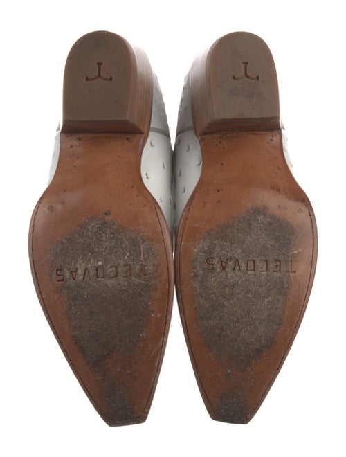 Tecovas Alligator Embroidered Accent Western Boots