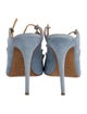 Alexa Wagner Suede Pumps
