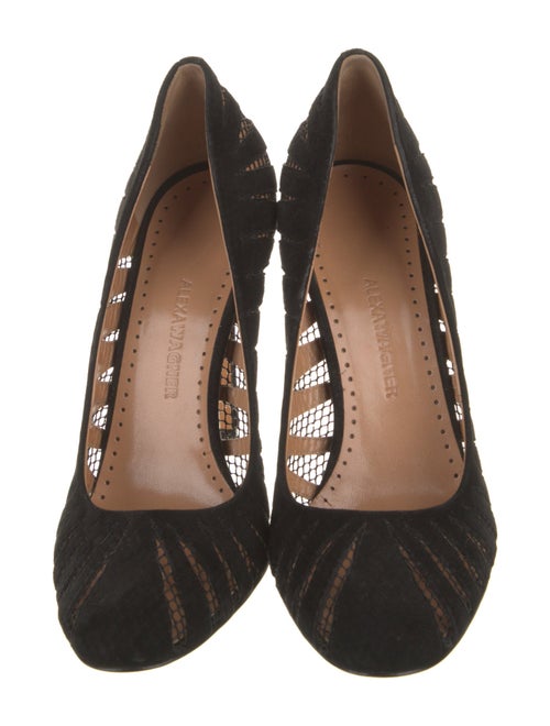 Alexa Wagner Suede Pumps