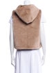 ZAPA Paris Faux Fur Vest