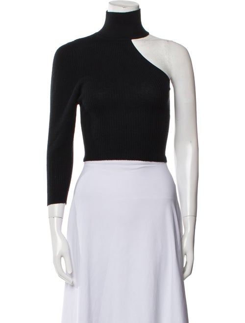 Lisa Yang Turtleneck Sweater