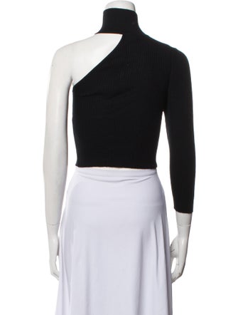 Lisa Yang Turtleneck Sweater