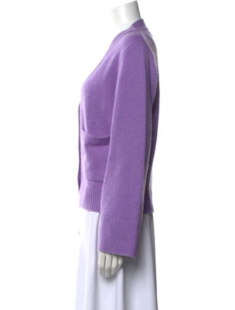 Lisa Yang Cashmere V-Neck Sweater