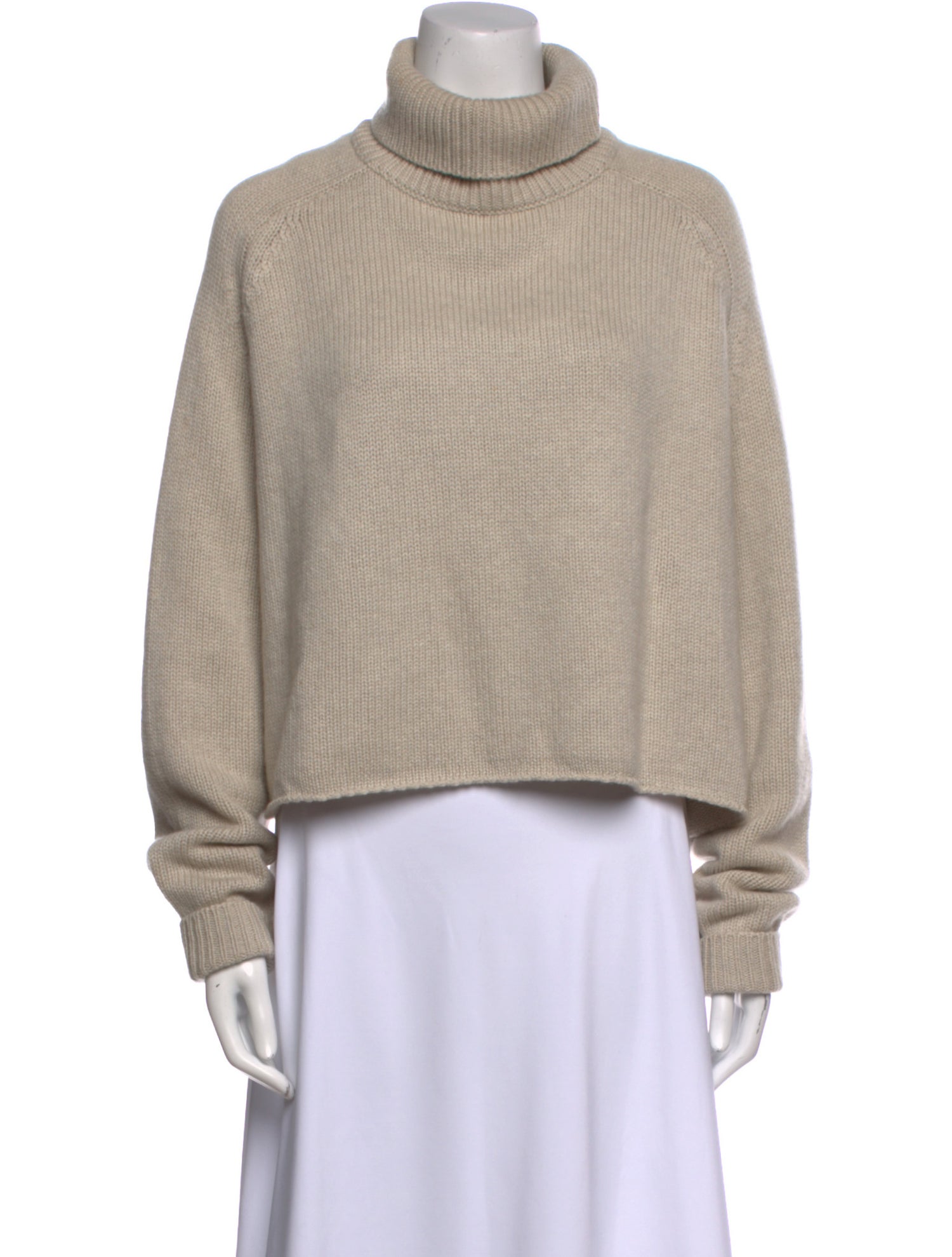 Lisa Yang Cashmere Turtleneck Sweater
