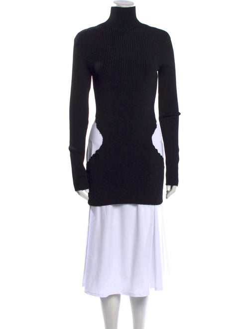 Yang Li Turtleneck Mini Dress