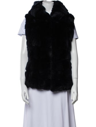 Yves Salomon Fur Vest