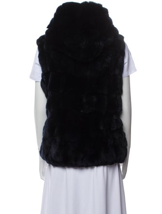 Yves Salomon Fur Vest