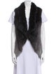 Yves Salomon Fur Fur Jacket