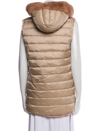 Yves Salomon Down Jacket