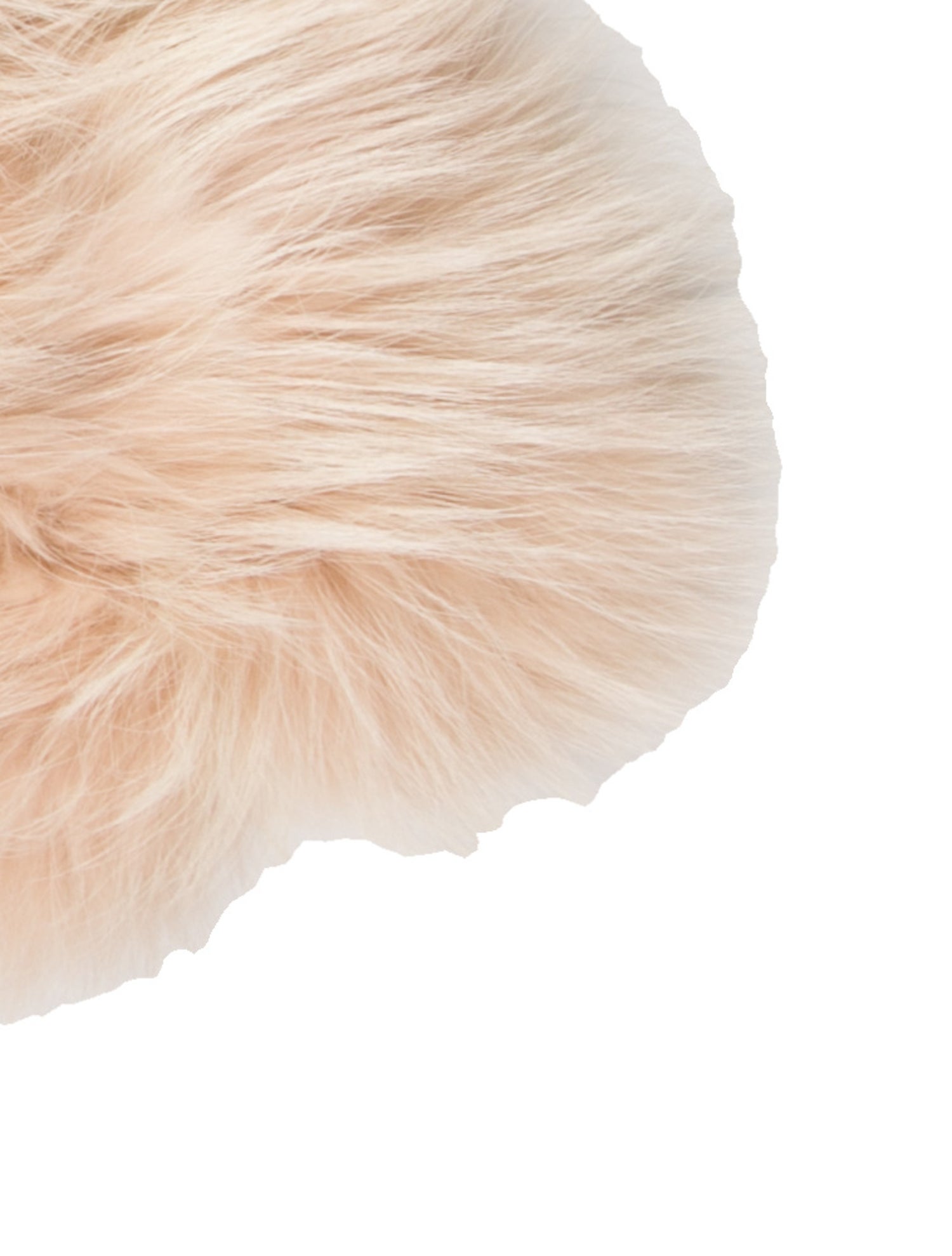 Yves Salomon Fur Scarf