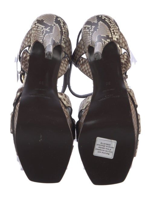 Yves Saint Laurent Python Animal Print T-Strap Pumps