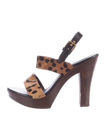 Categories Details about Steve Madden Pammy Calf Hair Leopard Print Platform Pumps Shoes Size @cLOSeT. Steve Madden Pammy Calf Hair Leopard Print Platform Pumps Shoes Size @cLOSeT | Add to watch list. Seller information. lost-closet. % Positive feedback. Save this Seller. Contact seller.