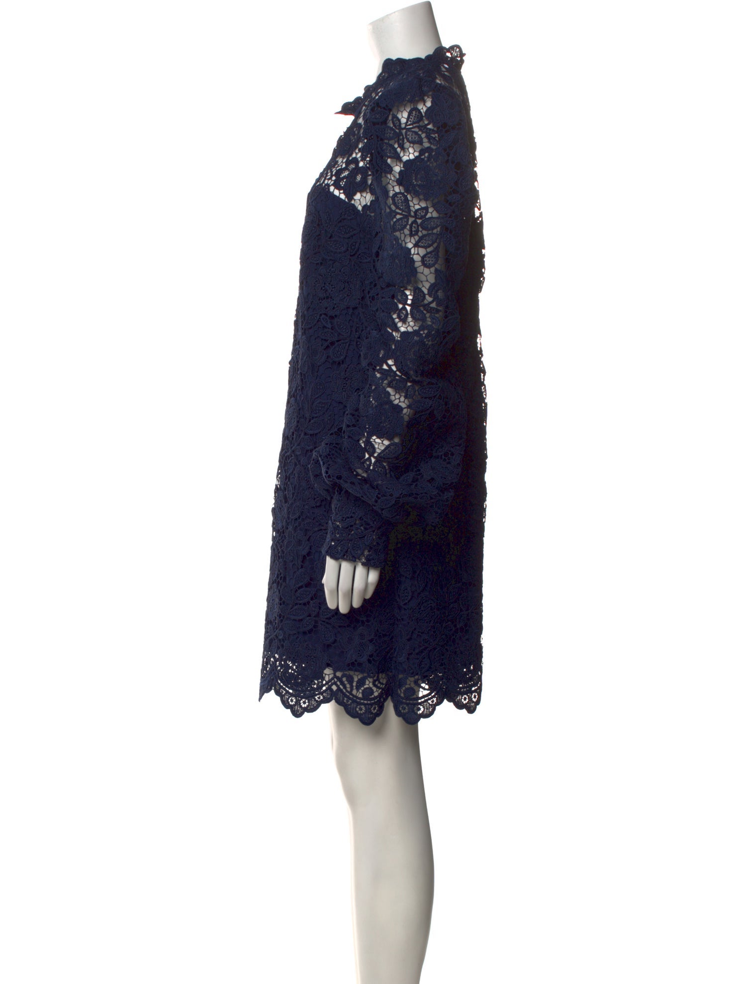 Zac Posen Lace Pattern Mini Dress