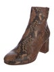 Zadig & Voltaire Snakeskin Animal Print Boots