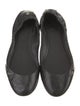 Zadig & Voltaire Leather Ballet Flats