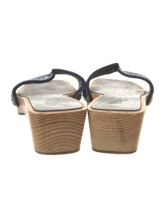 Zeus + Dione Printed Slides