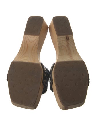 Zeus + Dione Printed Slides