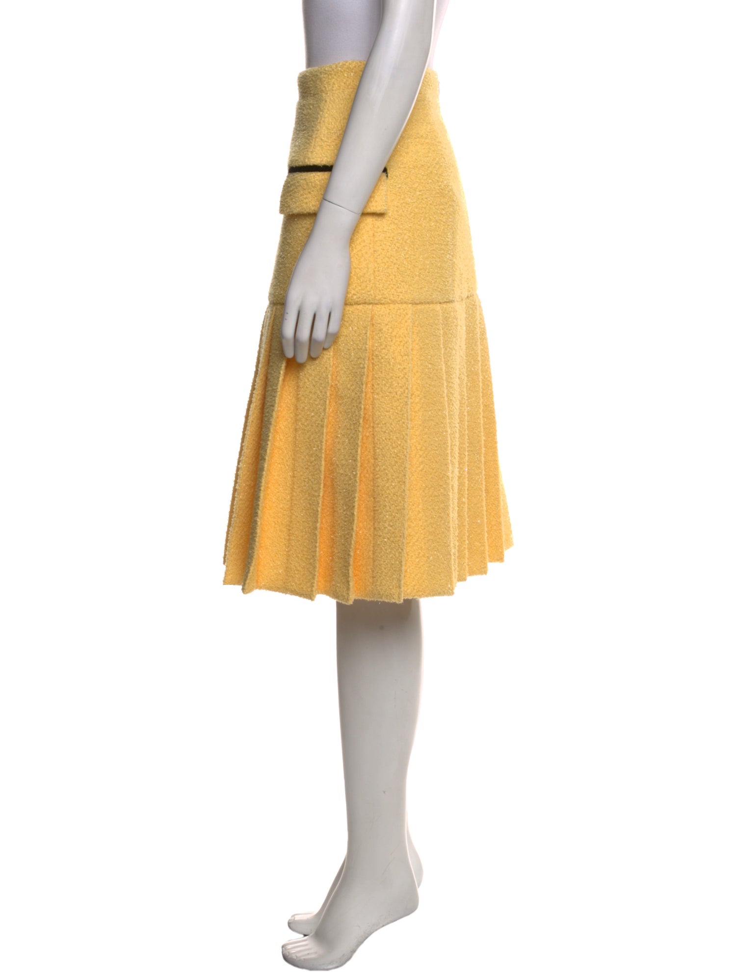 Huishan Zhang Pleated Accents Knee-Length Skirt