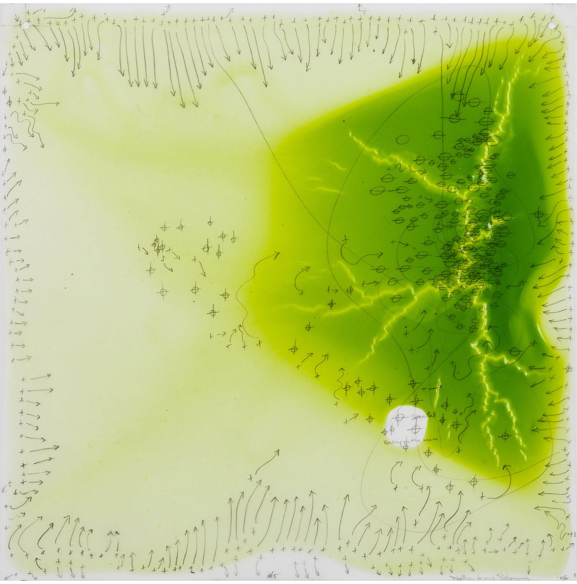 Nellie King Solomon RGB #5