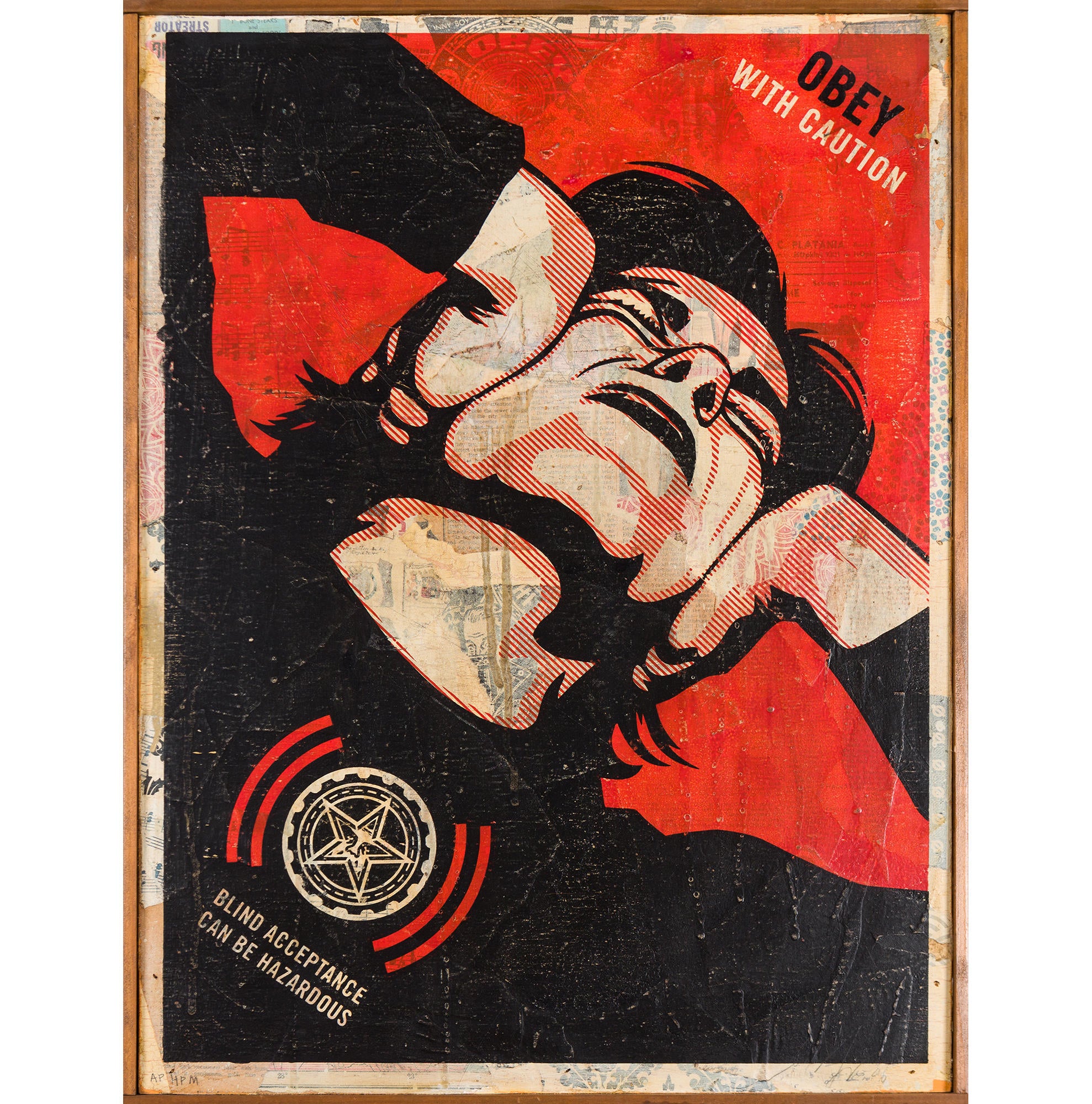 Shepard Fairey Obey With Caution