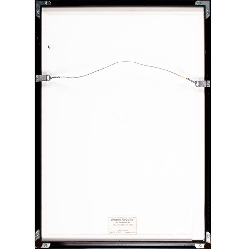 Ralph Gibson Arrow with Drill