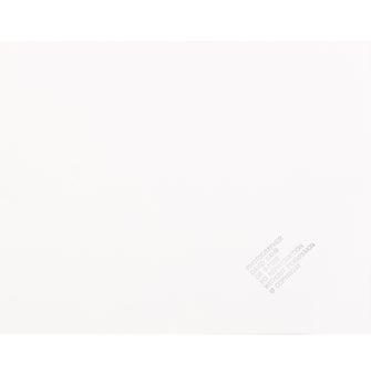 David Gahr Untitled (Bruce Springsteen)