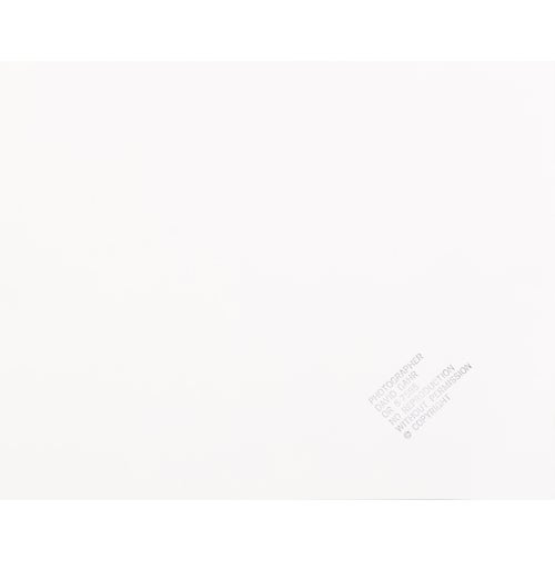 David Gahr Untitled (Bruce Springsteen)