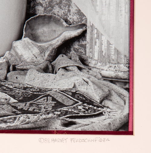 Harvey Ferdschneider Michael