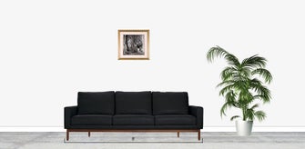 Harvey Ferdschneider Michael