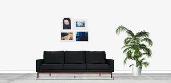 Various Artists The Moca Photography Portfolio