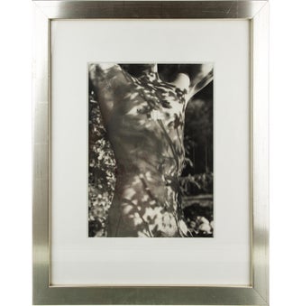 Bruce Weber Tyke, Long Pond, Adirondack Park, New York