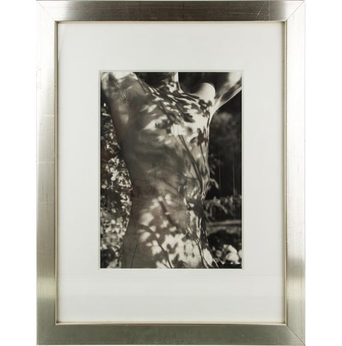 Bruce Weber Tyke, Long Pond, Adirondack Park, New York