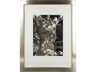 Tyke, Long Pond, Adirondack Park, New York