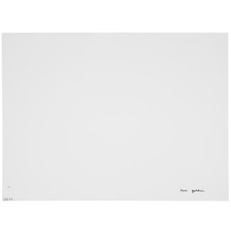 Nan Goldin My Room in Halfway House, Belmont, MA. 1988