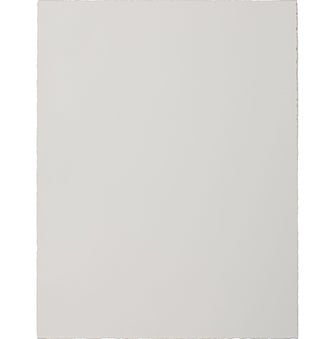 Clare Rojas Untitled