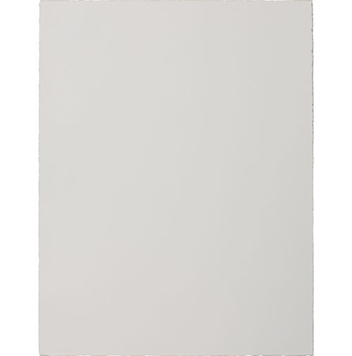 Clare Rojas Untitled