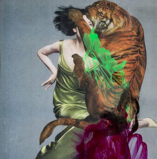 Alison Knott Cat Fight 6