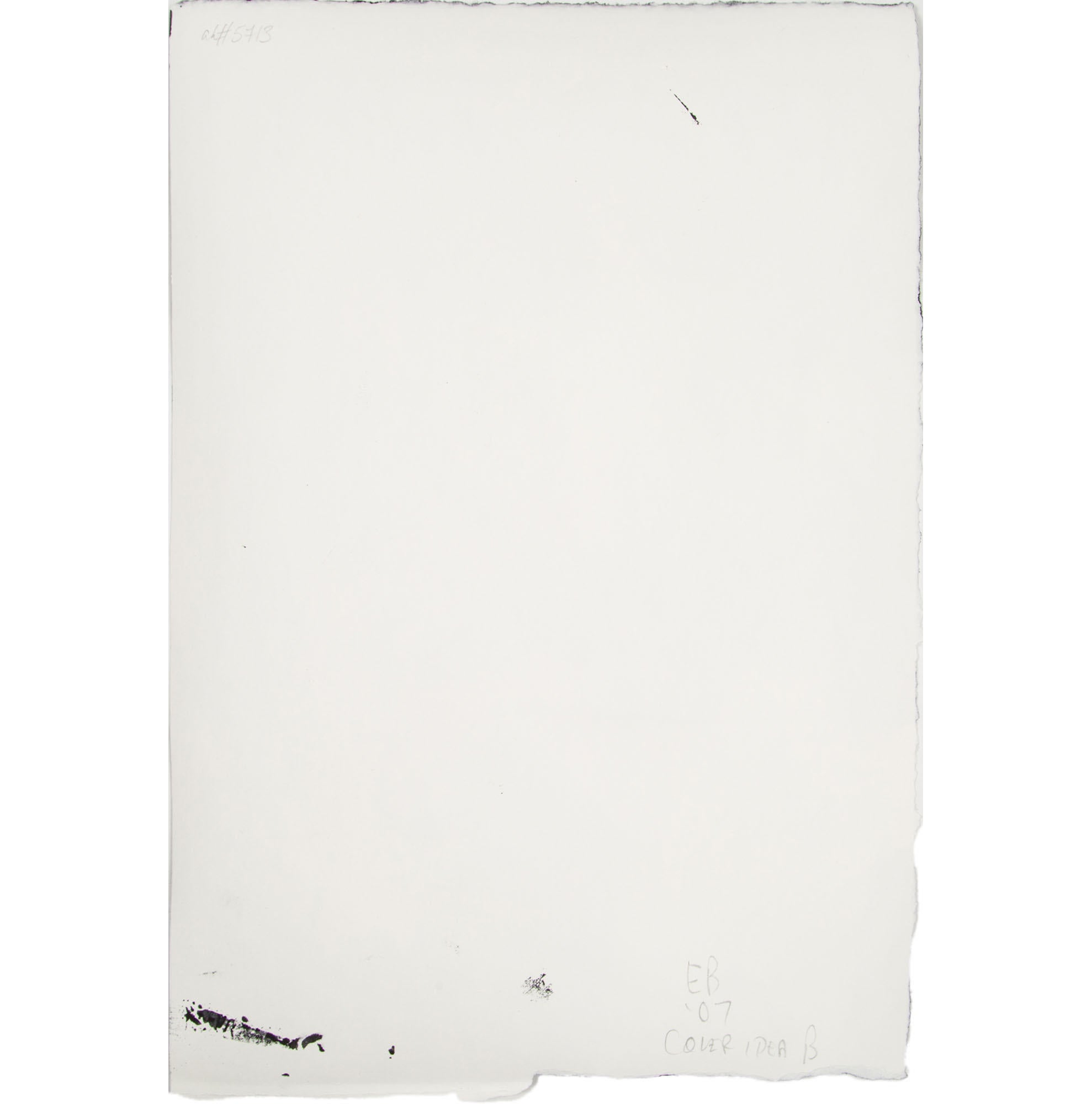 Ellen Berkenblit Untitled (Cover Idea B)