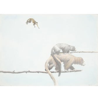 Glenn Palmer-Smith Oh no!