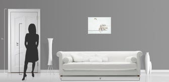 Glenn Palmer-Smith Oh no!