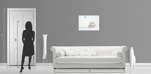 Glenn Palmer-Smith Oh no!