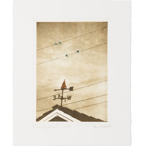 Raven Erebus Something Wicked