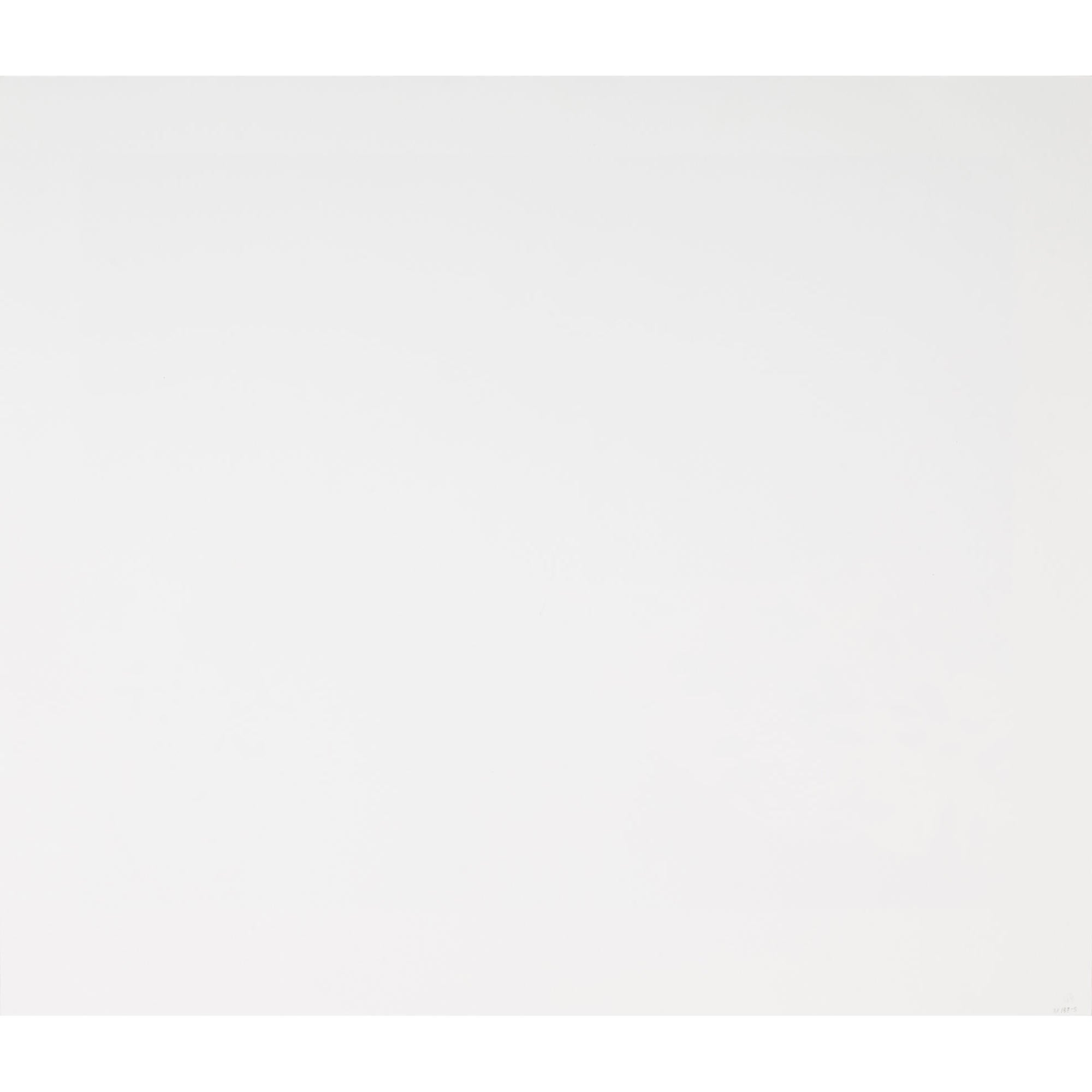 Kim Frohsin Untitled