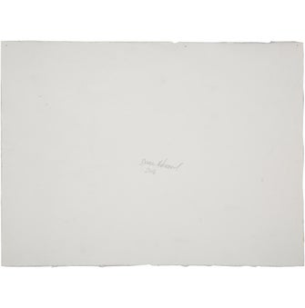 Dana Melamed Storm Engine