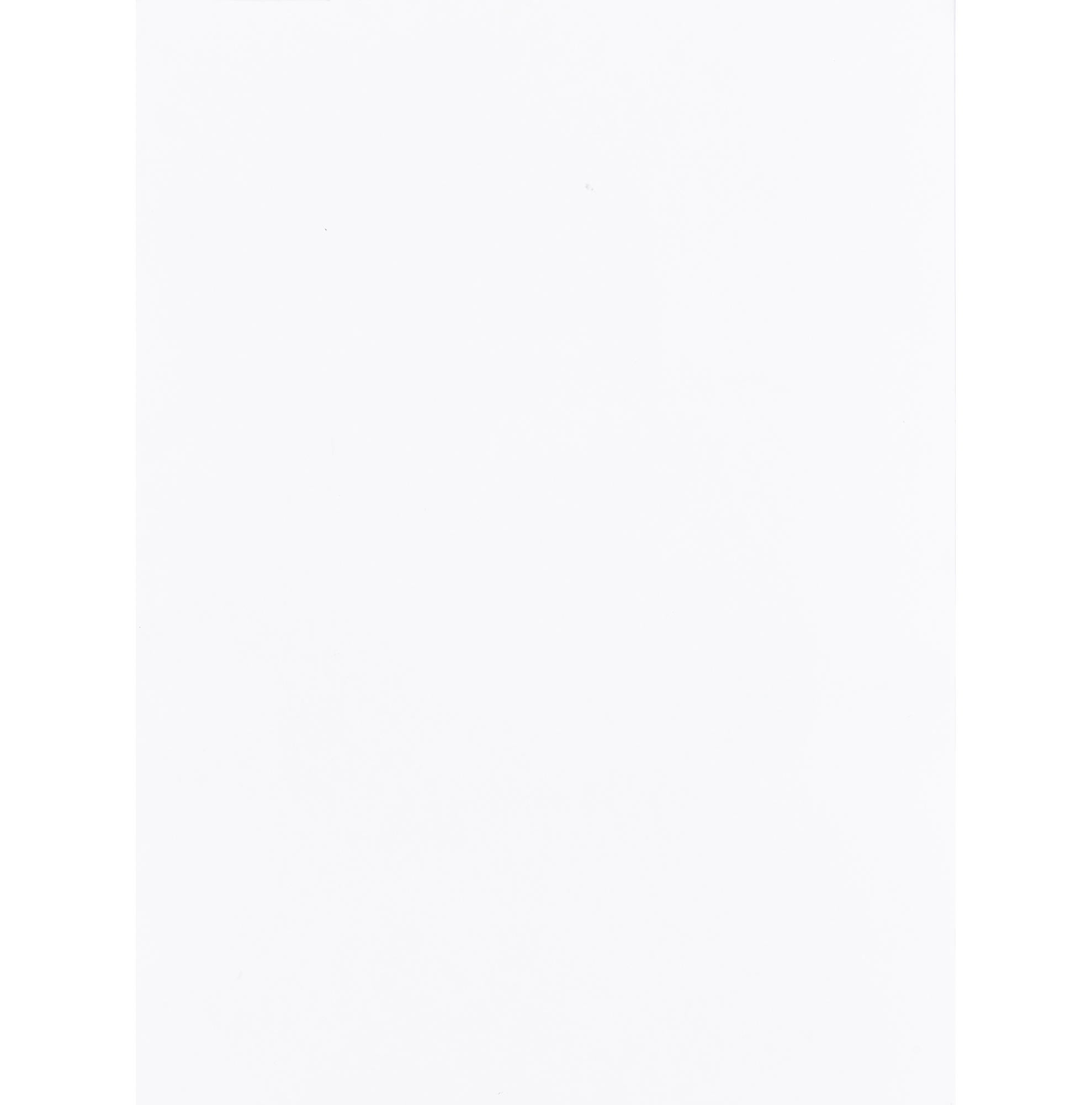 Jessica Moreno Hermès Diamond Himalayan Birkin